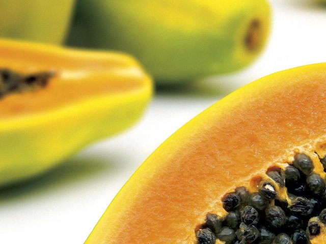 Papaya Domus